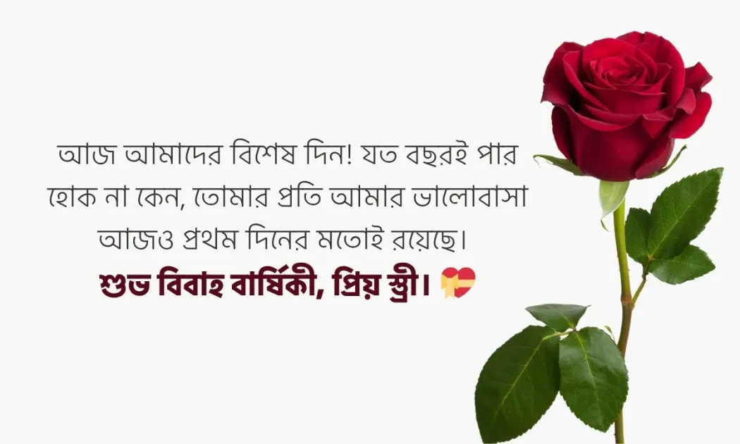 বিবাহ বার্ষিকী স্ট্যাটাস বাংলা ইসলামিক উদাহরণ