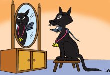 Photo of Who Will Bell the Cat Story for Class 6, 7, 8, SSC and HSC