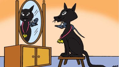 Photo of Who Will Bell the Cat Story for Class 6, 7, 8, SSC and HSC