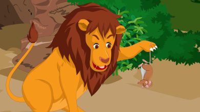 Photo of The Lion and the Mouse Completing Story for Classes 5, 6, 7, 8, SSC & HSC