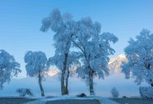 Photo of Winter Caption: শীতের অনুভূতি প্রকাশের আধুনিক গাইড