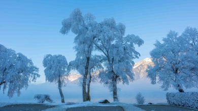 Photo of Winter Caption: শীতের অনুভূতি প্রকাশের আধুনিক গাইড