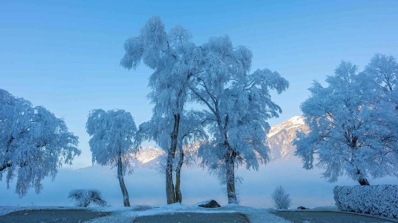 winter caption