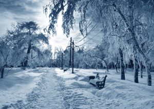 winter caption