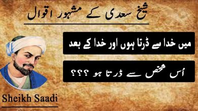Photo of Sheikh Saadi Story: 100, 150, 200, and 250 Words for Students